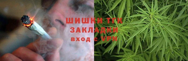 СК Медногорск