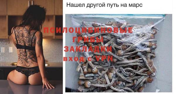 соль ск Мегион