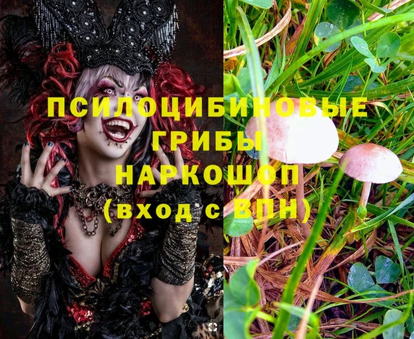 соль ск Мегион