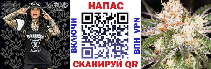 mega как зайти  Пионерский  Шишки марихуана планчик 